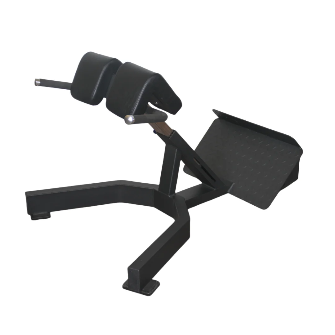 Home Gym Price - Factory Price Roman Chair Back Extension